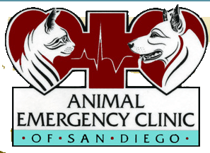 animal-emergency
