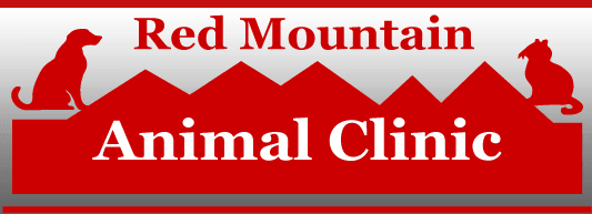red-mountain-animal-clinic