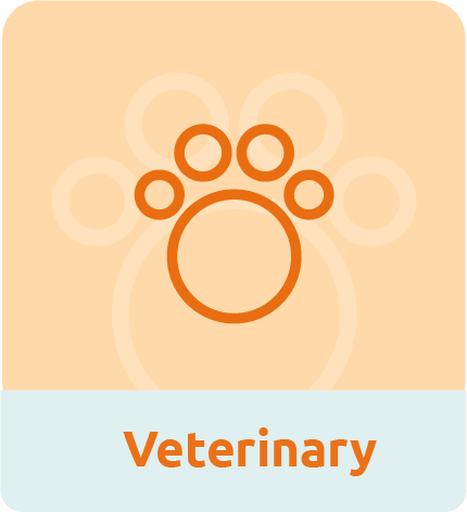 Veterinary Financing Program