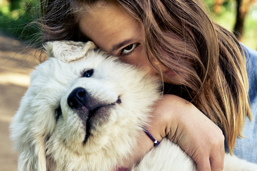 Happy teen girl embracing a cute puppy of a pyrenean mountain do