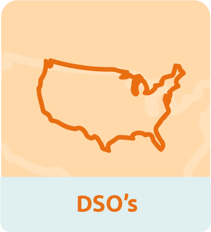 DSO Financing Program