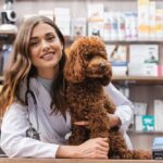 Benefits of Utilizing a Veterinary Financing Program