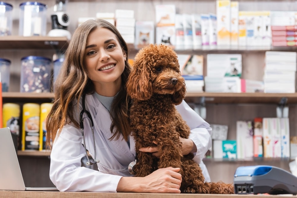 Benefits of Utilizing a Veterinary Financing Program